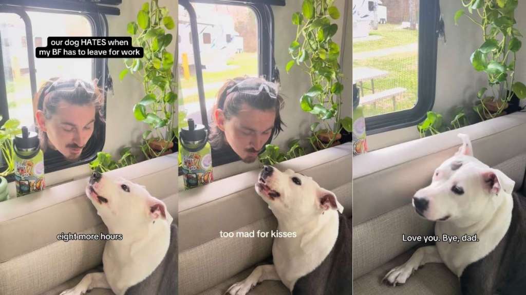 Video: Dog Doesn't Want Dad to Leave for Work