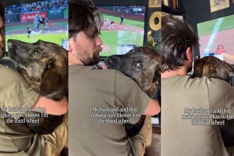 Dog Won’t Let Mom Forget She’s Third Wheel During Father-Daughter Time