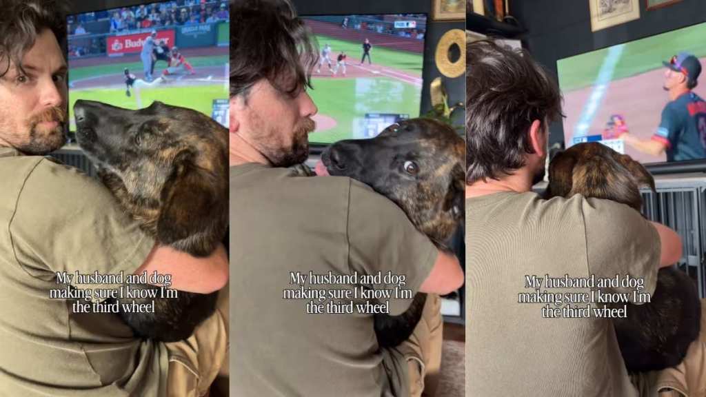 Dog Won’t Let Mom Forget She’s Third Wheel During Father-Daughter Time