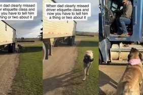 Dog Returns to School Dad About Driving Etiquette