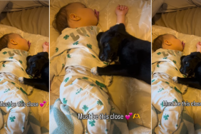 Video of Baby & Puppy Sleeping Next to Each Other Will Melt Your Stress Away