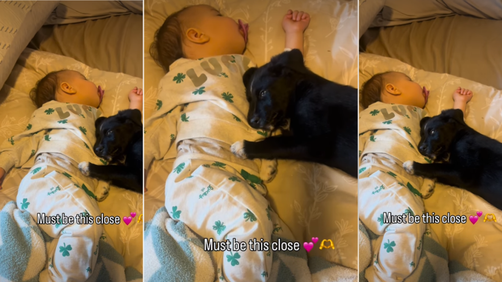 Video of Baby & Puppy Sleeping Next to Each Other Will Melt Your Stress Away