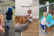 Best Friends Golden Retriever & Little Boy Are Partners in Everything