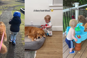 Best Friends Golden Retriever & Little Boy Are Partners in Everything