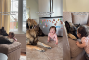 Dog & Little Girl Share the Kind of Love That’s Written About in Stories