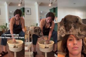 Dog Can’t Look Away From Owner Making Pottery