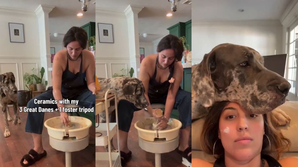 Dog Can’t Look Away From Owner Making Pottery