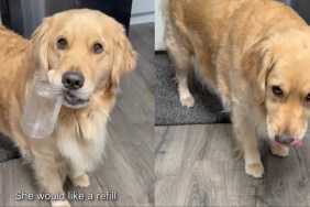 Video: Dog ‘Came Prepared’ for Peanut Butter Refill