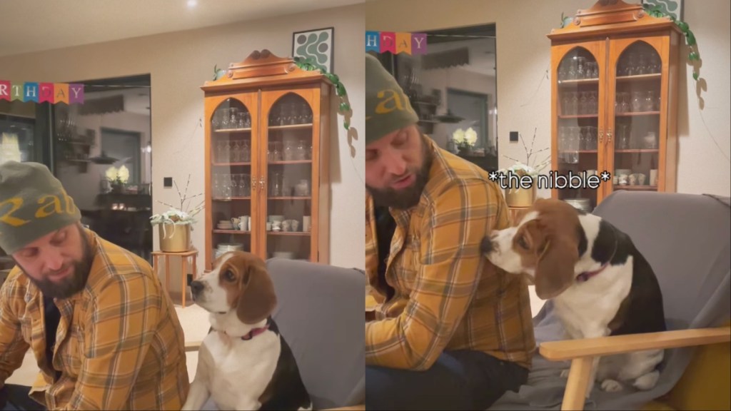 Video: Dog Only Wants Owner's Attention