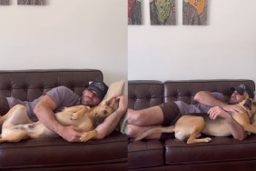 Video: Rescue Dog Sleeps Next to Dad After He Returns From His Trip