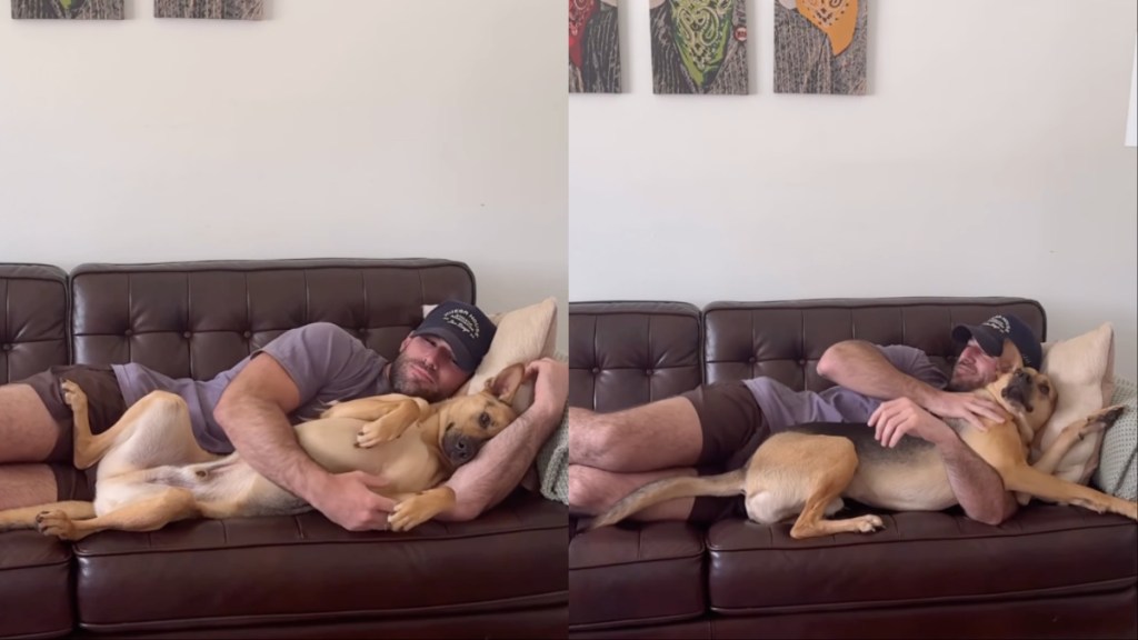 Video: Rescue Dog Sleeps Next to Dad After He Returns From His Trip