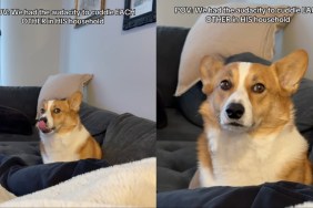 Video: Dog Moves Further Away From Owners After They Cuddle