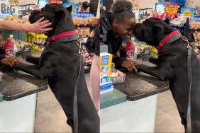 Video: Dog Gives Kisses Immediately After Stranger Asks for One