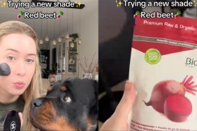 This Dog's Organic Blush Color Gets Internet Approval