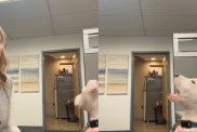 Adopted Puppy Makes Mom Smile at Work by Doing This