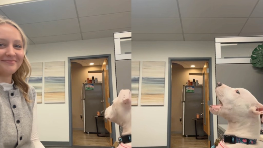 Adopted Puppy Makes Mom Smile at Work by Doing This