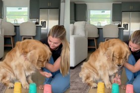 Video: Golden Retriever Slowly Aces Treat Under Cup Challenge