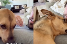 ‘Nervous’ Rescue Dog Learns It’s Okay To Lay His Head on Dad’s Chest