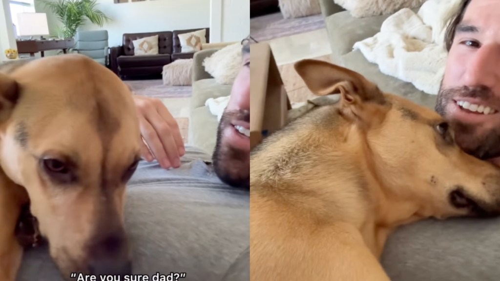 ‘Nervous’ Rescue Dog Learns It’s Okay To Lay His Head on Dad’s Chest
