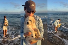 Little Golden Retriever Puppy Experiences One of Her Firsts at the Beach