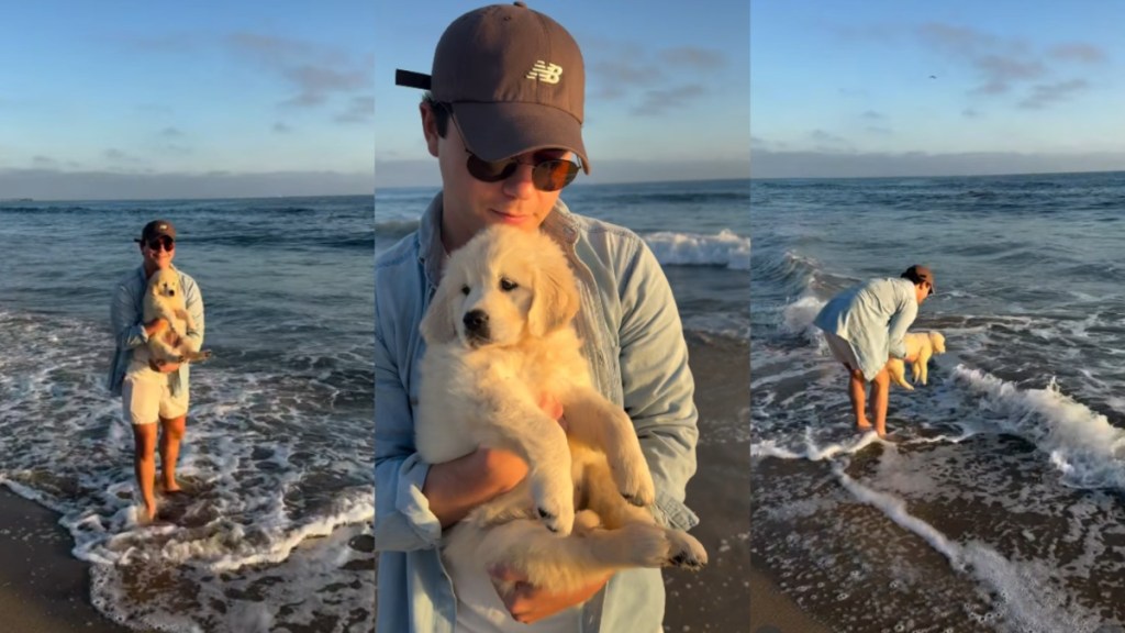 Little Golden Retriever Puppy Experiences One of Her Firsts at the Beach
