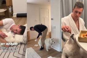 Video: Samoyed Dog’s Bond With Dad Is Undeniably Adorable