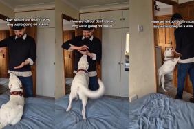 Deaf Dog Knows Exactly When It’s Walk Time From This Sign