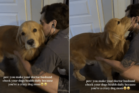 dog doctor video