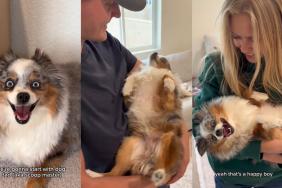 Video: Dog Loves Getting Scooped up by Mom & Dad