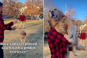 Golden Retriever Plays Catch With Humans Except He's the Ball