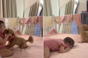 Dog Showers Little Girl With Kisses, Makes Her Giggle in Adorable Video