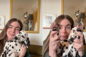 Dog Sitter Proves Why You Should Adopt This Dalmatian Foster Puppy