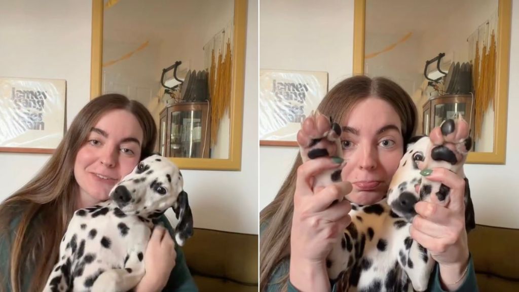 Dog Sitter Proves Why You Should Adopt This Dalmatian Foster Puppy
