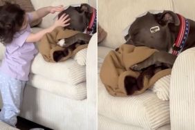 Dog Is Super Unbothered by Tiny Human's Activities in Cute Video
