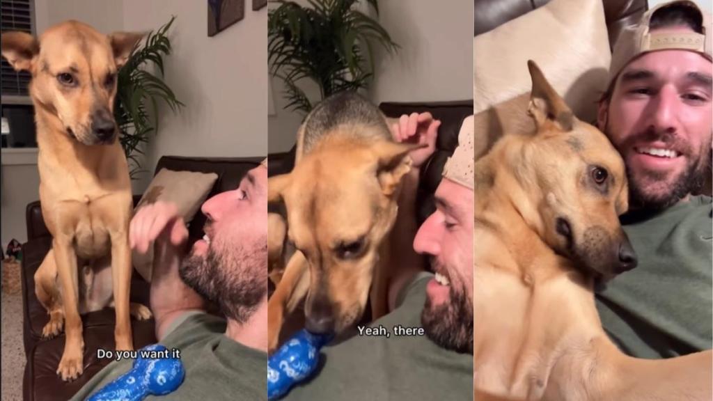 Rescue Dog Learns ‘It’s Okay’ to Gently Take Back His Toy From Owner
