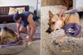 Video: Rescue Pup Sleeps With Owner's Shirt While He Is Not Home