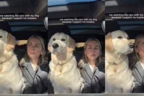 Golden Retriever’s Hobby Wins Mom Over — Now They Do It Together
