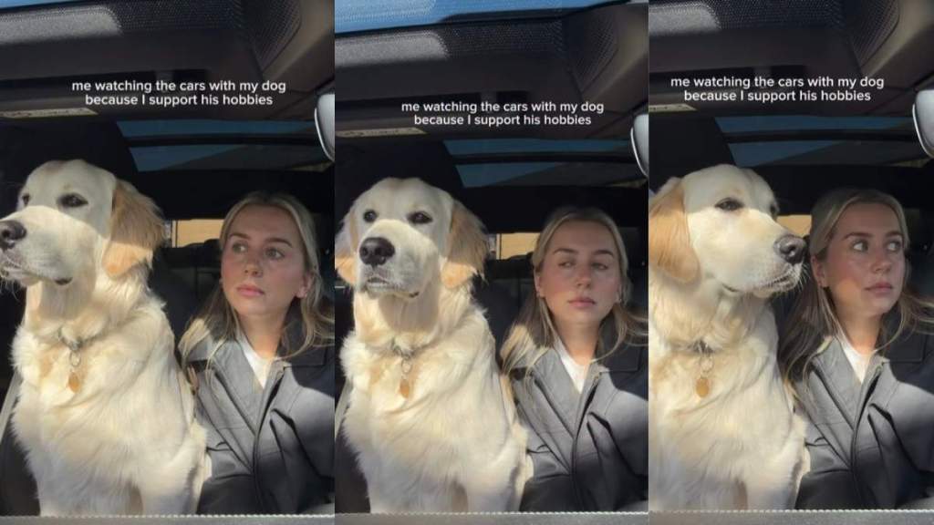 Golden Retriever’s Hobby Wins Mom Over — Now They Do It Together