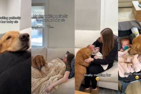 Video: Dog Finally Meets Baby Sister After Waiting for Months