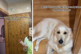Video: Dog Admires Owner As She Gets Ready