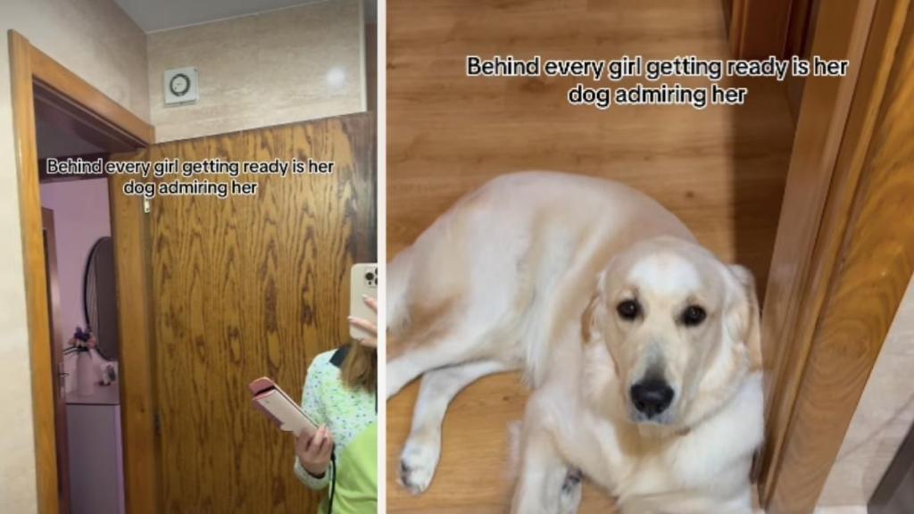 Video: Dog Admires Owner As She Gets Ready
