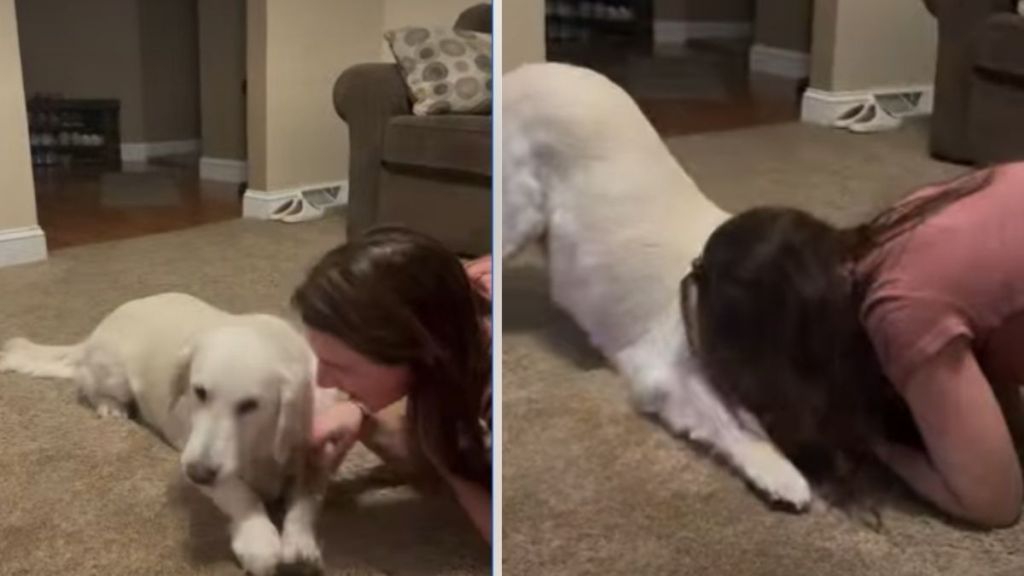 Rescue Dog Wipes Owner's Kisses in Heartwarming Video