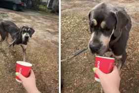 Ex-Prince Andrew’s ‘Weird Vibe’ Made His Presence Unsettling — Ex-Butler