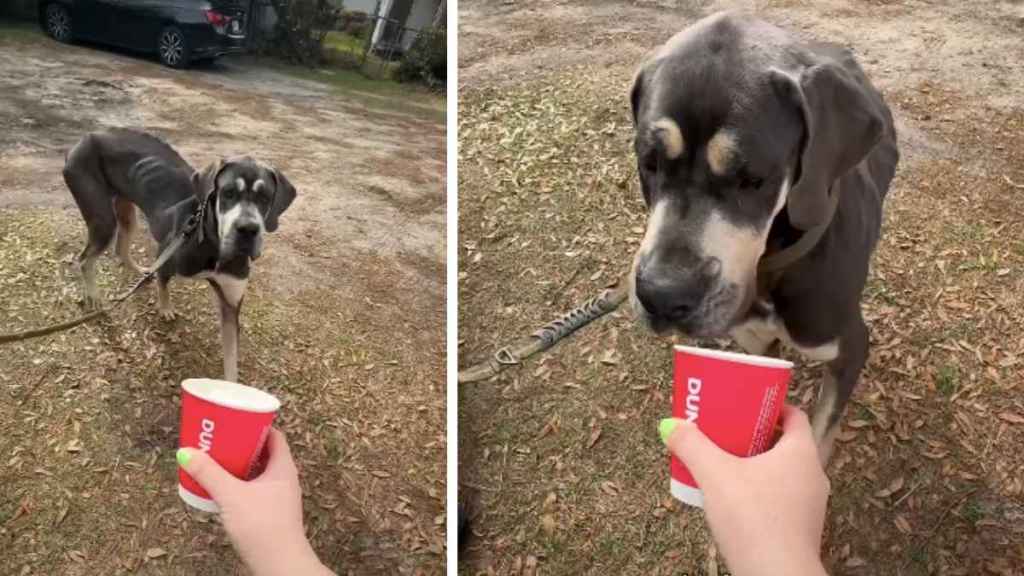 Ex-Prince Andrew’s ‘Weird Vibe’ Made His Presence Unsettling — Ex-Butler