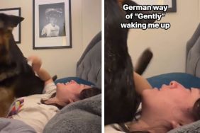 Dog Has a Quirky Way of Waking up Mom & It Will Completely Surprise You