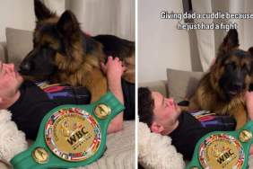 Dog Knows Dad’s in Pain After Winning Fight, Comforts Him With Cuddles