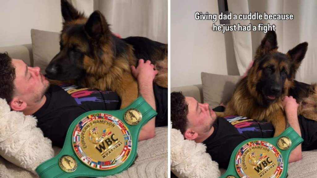 Dog Knows Dad’s in Pain After Winning Fight, Comforts Him With Cuddles