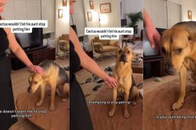 Rescue Pup Uses ‘Saddest’ Look to Guilt Aunt Into Petting Him Nonstop