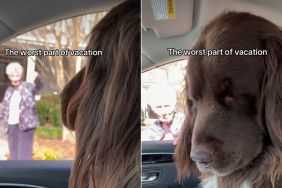 Video: Big Dog Doesn’t Want To Go on a Vacation Leaving Grandma Behind