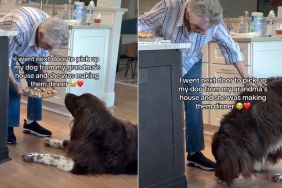 Owner Finds Dog Waiting for Grandma-Made Burgers in Viral Video